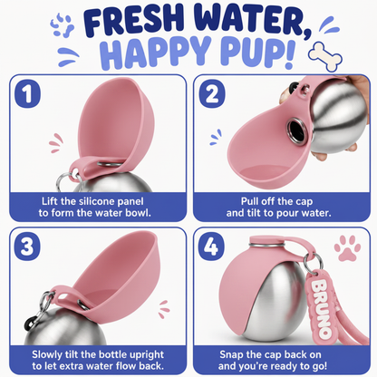PupSphere Pink Infographic